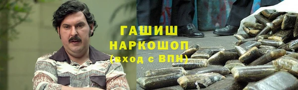 МДПВ Пересвет