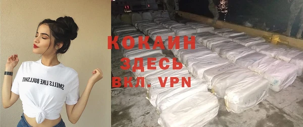 МДПВ Пересвет