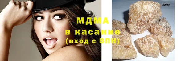 МДПВ Пересвет