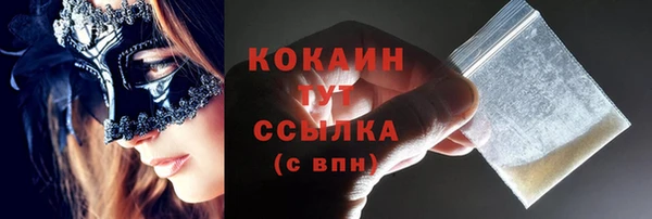 МДПВ Пересвет
