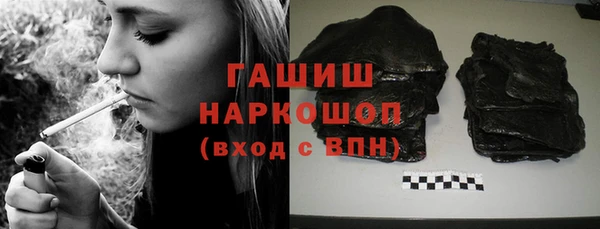 МДПВ Пересвет