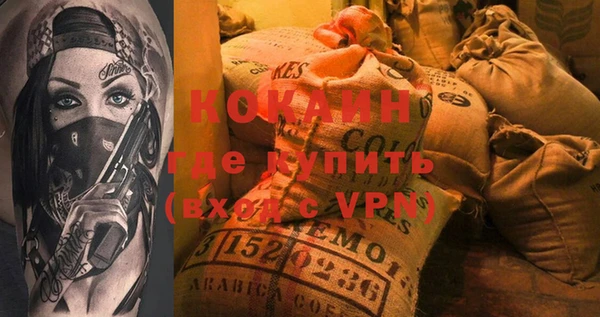 МДПВ Пересвет