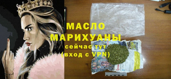 МДПВ Пересвет