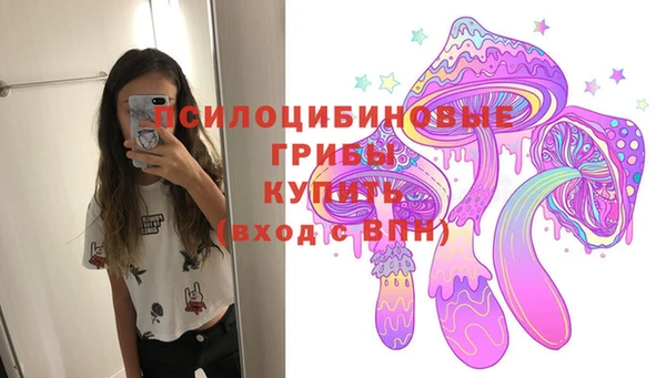 ПСИЛОЦИБИНОВЫЕ ГРИБЫ Пестово
