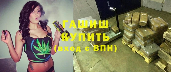 МДПВ Пересвет
