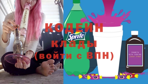 МДПВ Пересвет