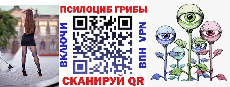 купить наркотики сайты  Сычёвка  Галлюциногенные грибы Psilocybine cubensis 